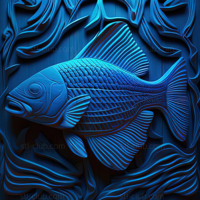 st Blue neon fish